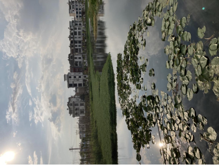 1600075429869155.png